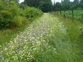 Biotope