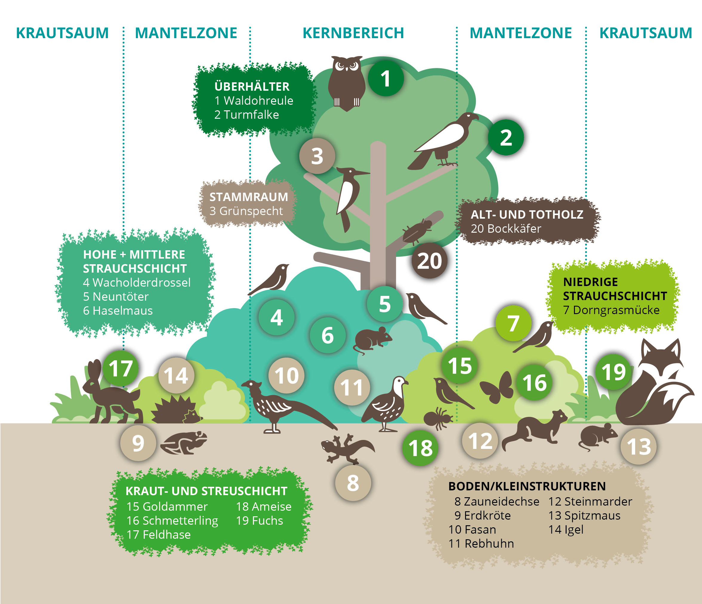 Infografik Lebensraum